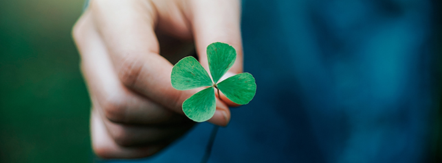 在華公益活動介紹